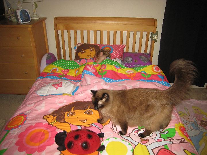 New Big Girl Bed 05.JPG